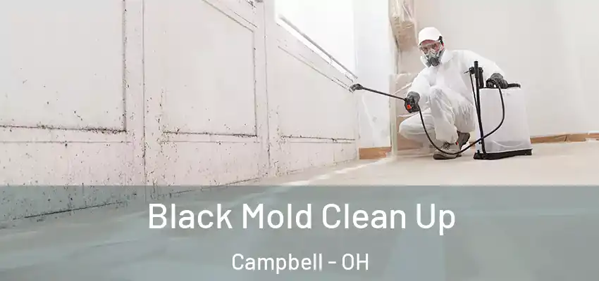 Black Mold Clean Up Campbell - OH
