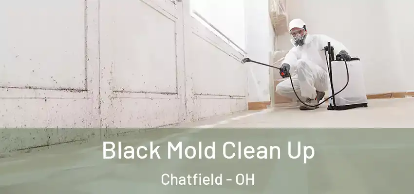 Black Mold Clean Up Chatfield - OH