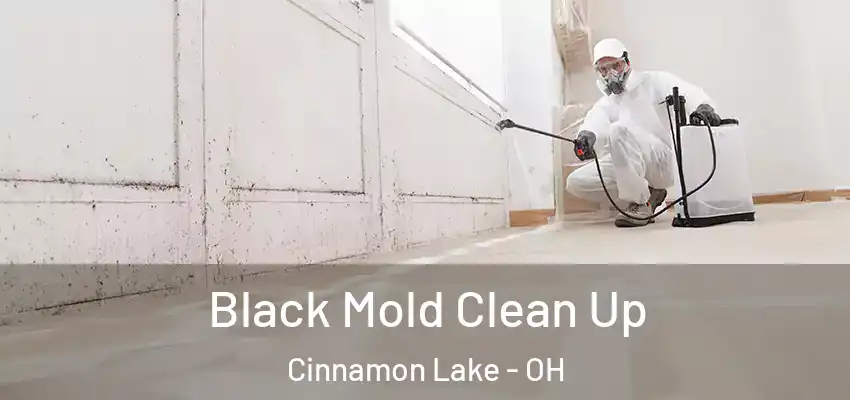  Black Mold Clean Up Cinnamon Lake - OH