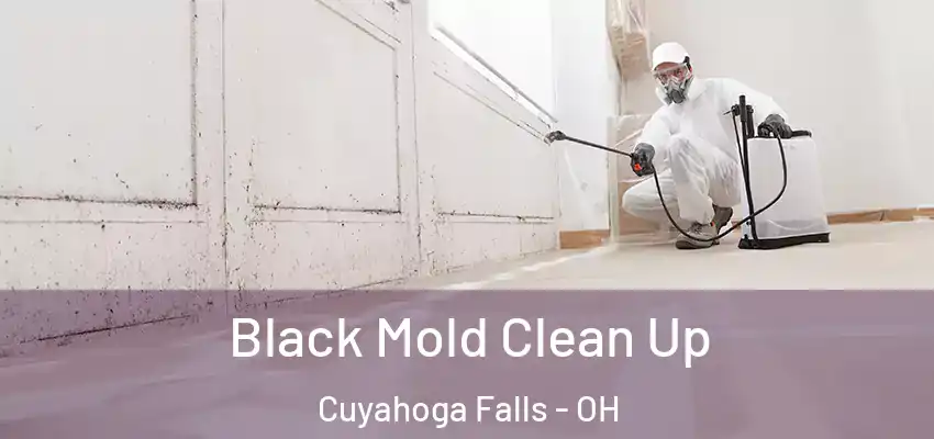  Black Mold Clean Up Cuyahoga Falls - OH