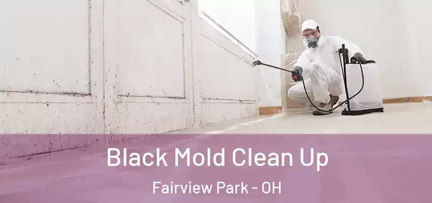 Black Mold Clean Up Fairview Park - OH