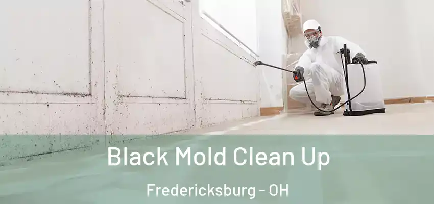 Black Mold Clean Up Fredericksburg - OH