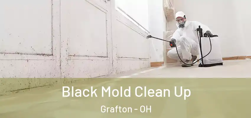 Black Mold Clean Up Grafton - OH