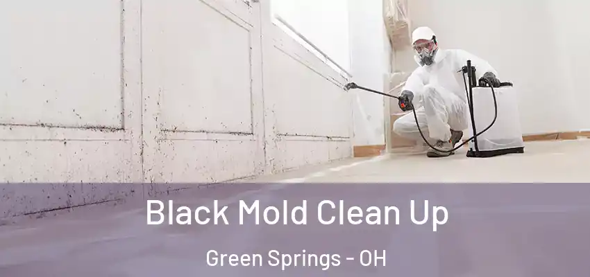  Black Mold Clean Up Green Springs - OH