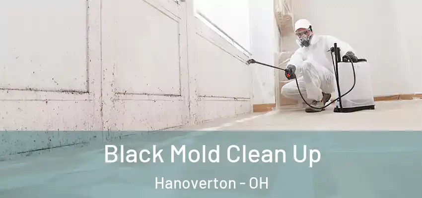 Black Mold Clean Up Hanoverton - OH
