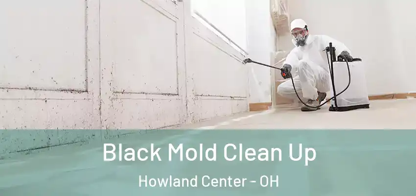 Black Mold Clean Up Howland Center - OH