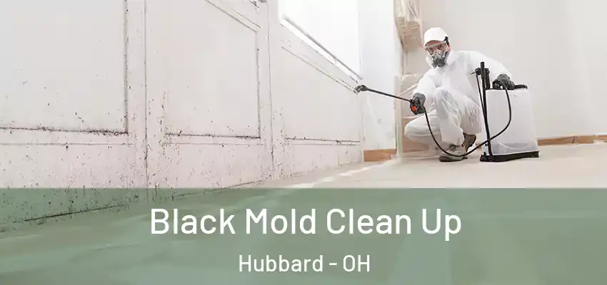 Black Mold Clean Up Hubbard - OH