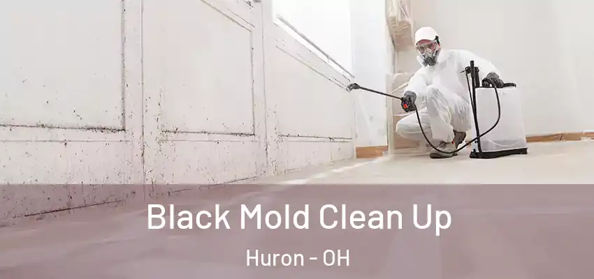 Black Mold Clean Up Huron - OH