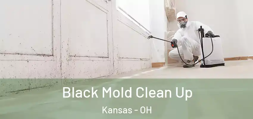  Black Mold Clean Up Kansas - OH