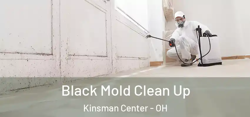 Black Mold Clean Up Kinsman Center - OH