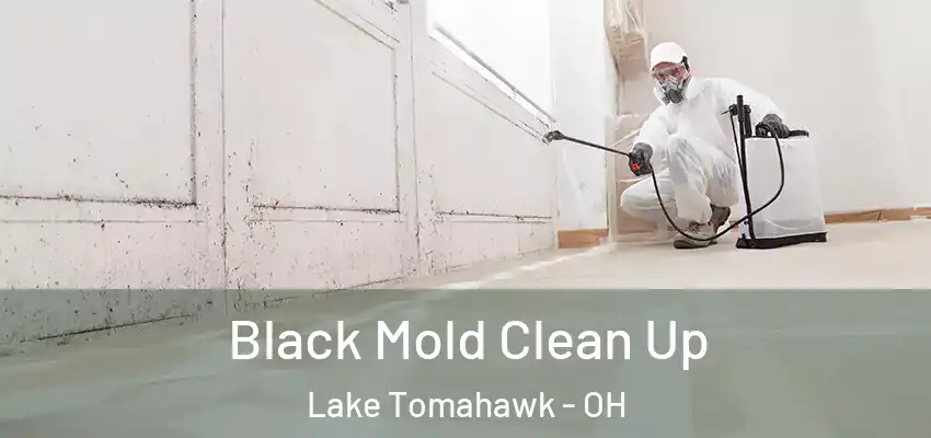 Black Mold Clean Up Lake Tomahawk - OH