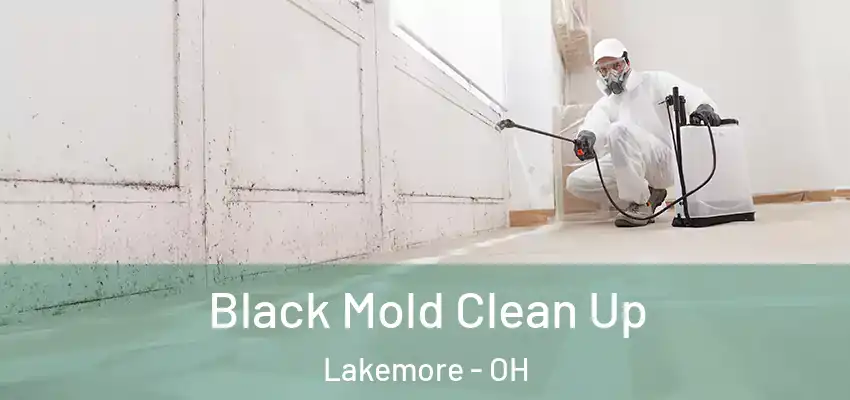  Black Mold Clean Up Lakemore - OH
