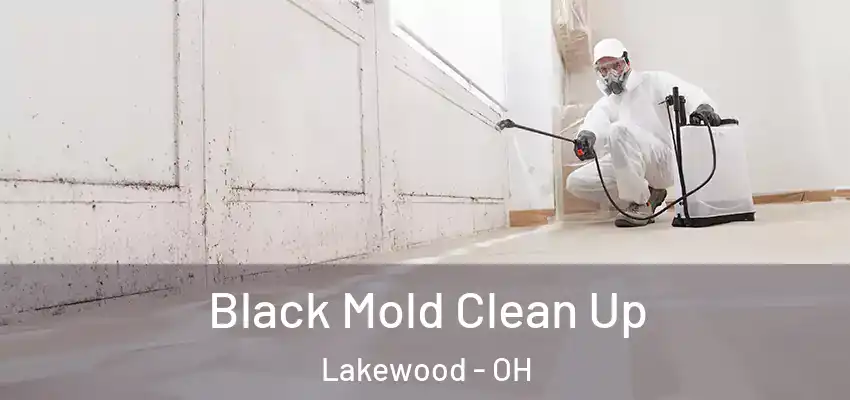  Black Mold Clean Up Lakewood - OH