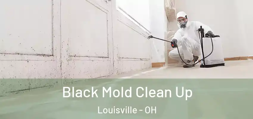  Black Mold Clean Up Louisville - OH