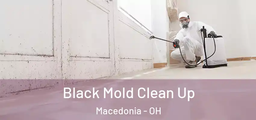 Black Mold Clean Up Macedonia - OH