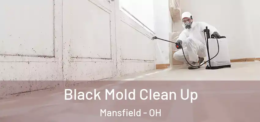  Black Mold Clean Up Mansfield - OH