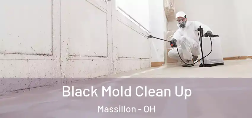  Black Mold Clean Up Massillon - OH