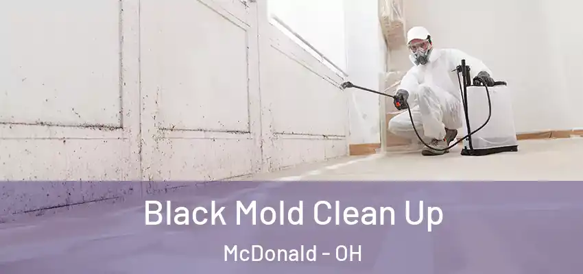 Black Mold Clean Up McDonald - OH