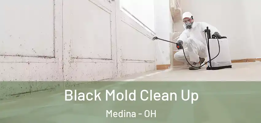 Black Mold Clean Up Medina - OH