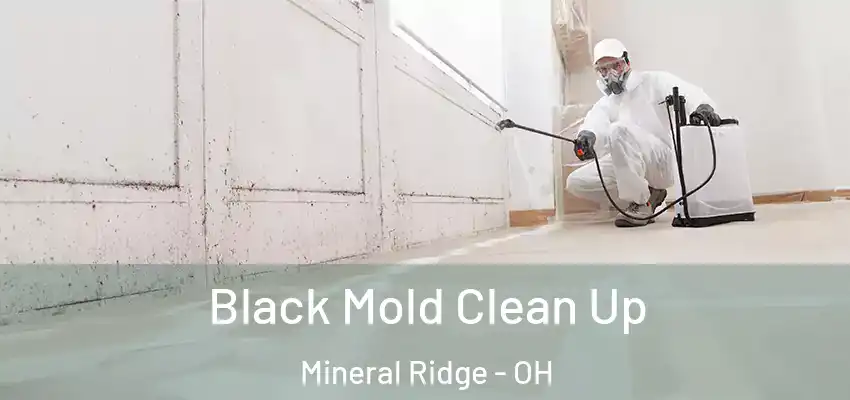  Black Mold Clean Up Mineral Ridge - OH