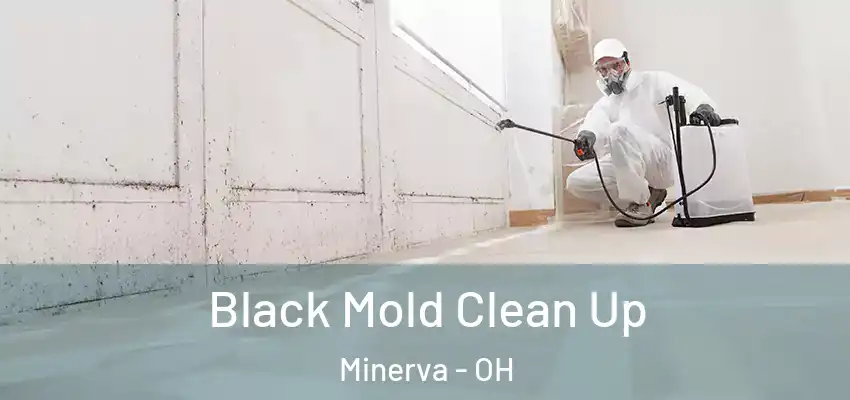 Black Mold Clean Up Minerva - OH