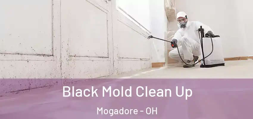 Black Mold Clean Up Mogadore - OH