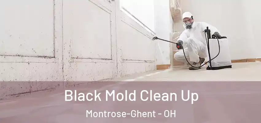  Black Mold Clean Up Montrose-Ghent - OH