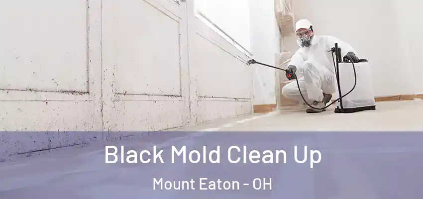  Black Mold Clean Up Mount Eaton - OH