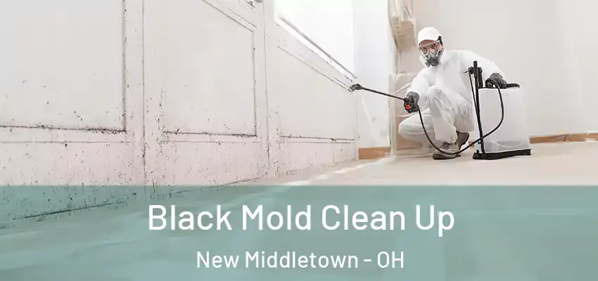  Black Mold Clean Up New Middletown - OH