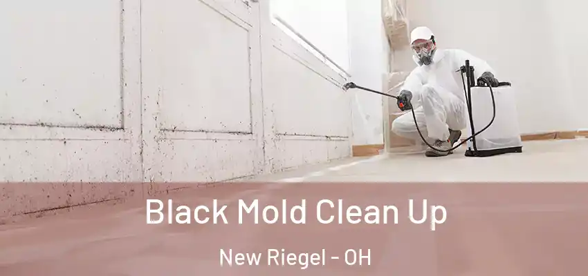 Black Mold Clean Up New Riegel - OH