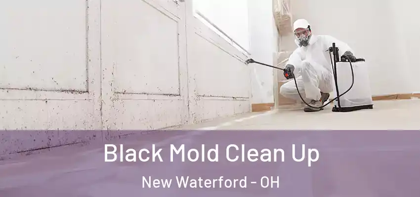 Black Mold Clean Up New Waterford - OH