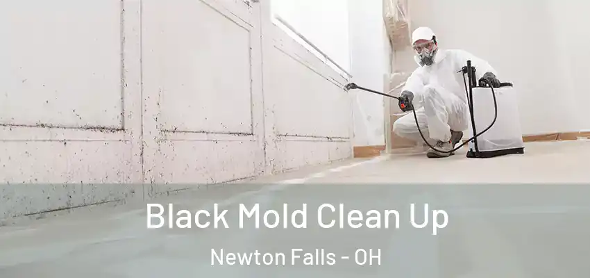  Black Mold Clean Up Newton Falls - OH