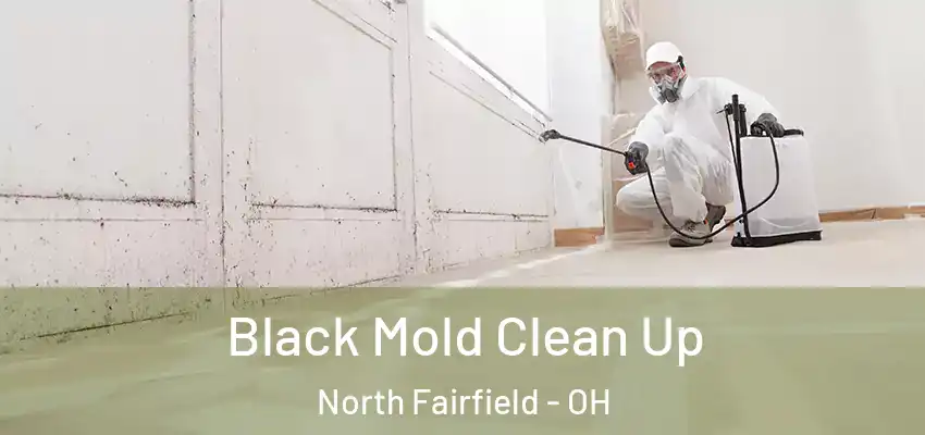  Black Mold Clean Up North Fairfield - OH