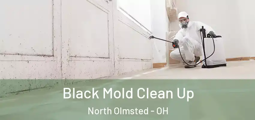 Black Mold Clean Up North Olmsted - OH