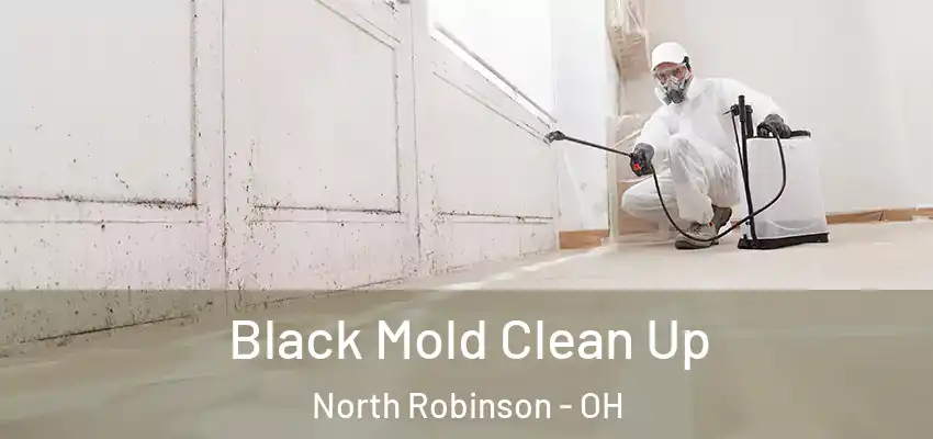 Black Mold Clean Up North Robinson - OH