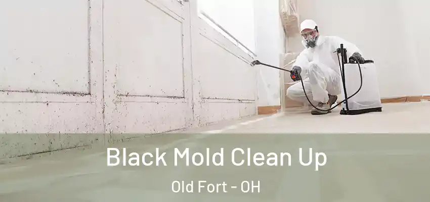 Black Mold Clean Up Old Fort - OH