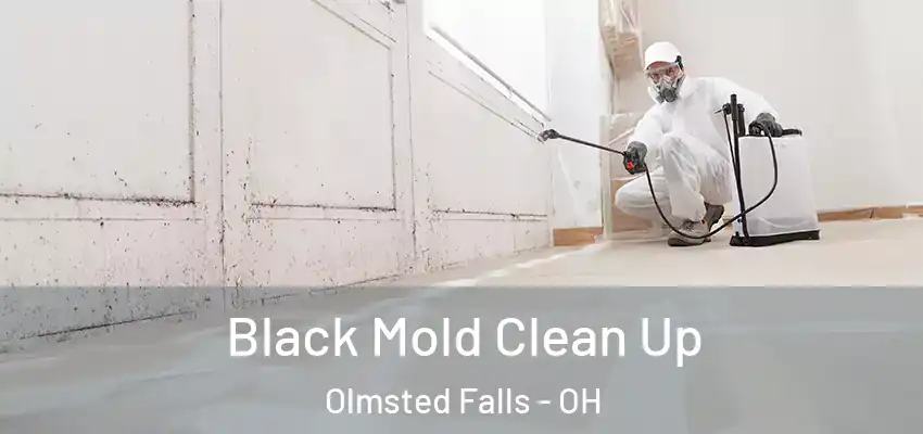  Black Mold Clean Up Olmsted Falls - OH
