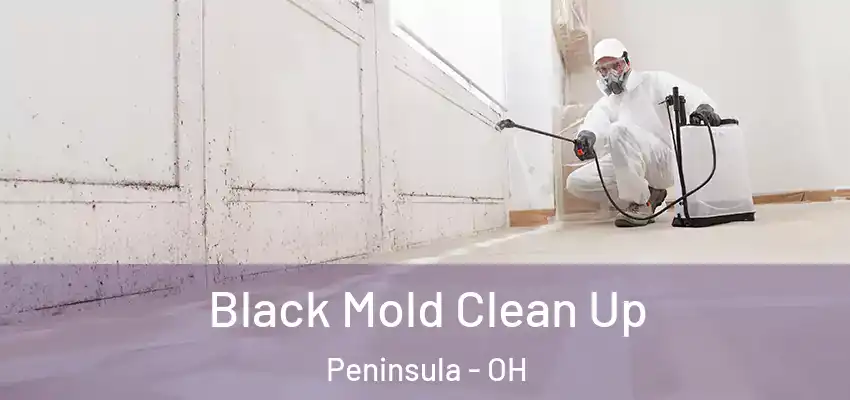  Black Mold Clean Up Peninsula - OH