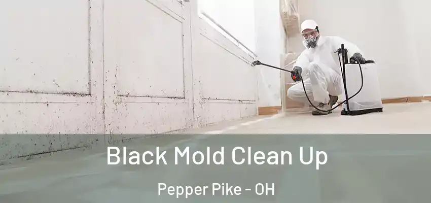 Black Mold Clean Up Pepper Pike - OH