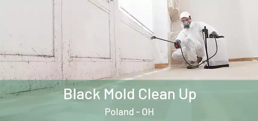 Black Mold Clean Up Poland - OH