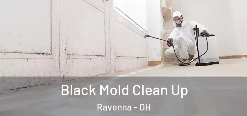 Black Mold Clean Up Ravenna - OH