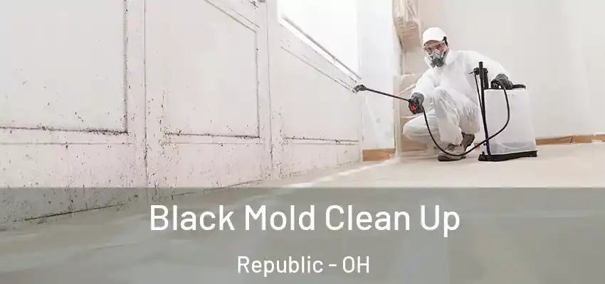  Black Mold Clean Up Republic - OH