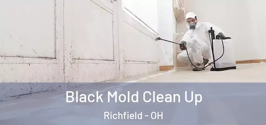  Black Mold Clean Up Richfield - OH