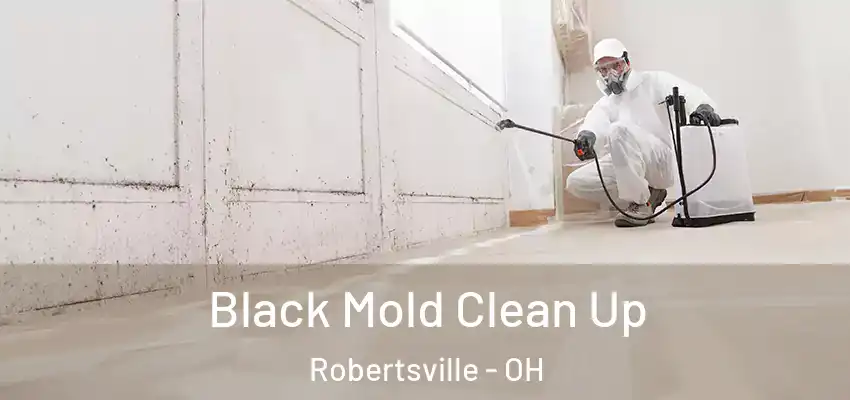 Black Mold Clean Up Robertsville - OH