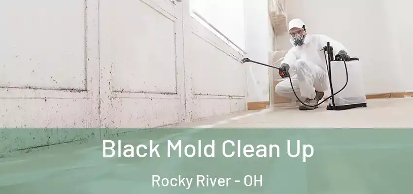 Black Mold Clean Up Rocky River - OH