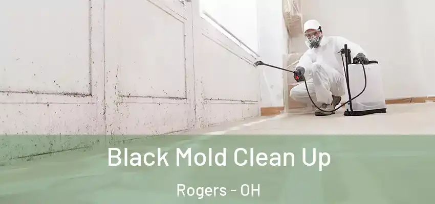 Black Mold Clean Up Rogers - OH