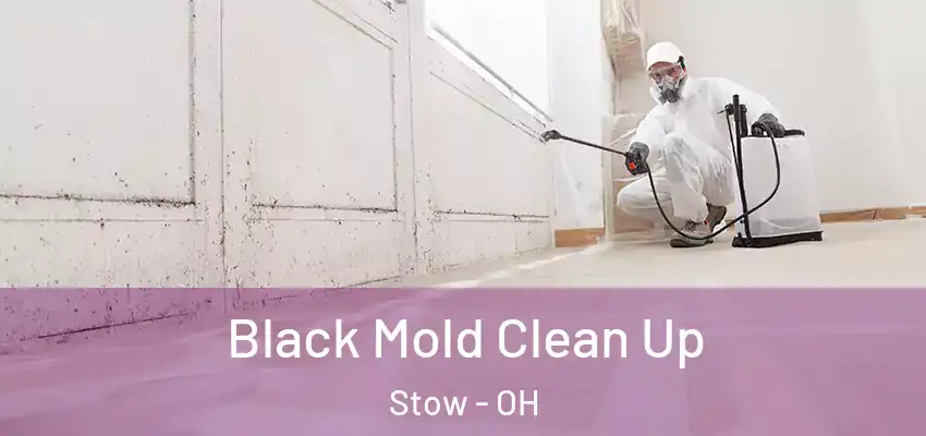  Black Mold Clean Up Stow - OH