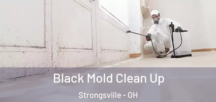 Black Mold Clean Up Strongsville - OH