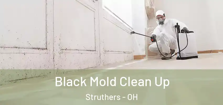Black Mold Clean Up Struthers - OH