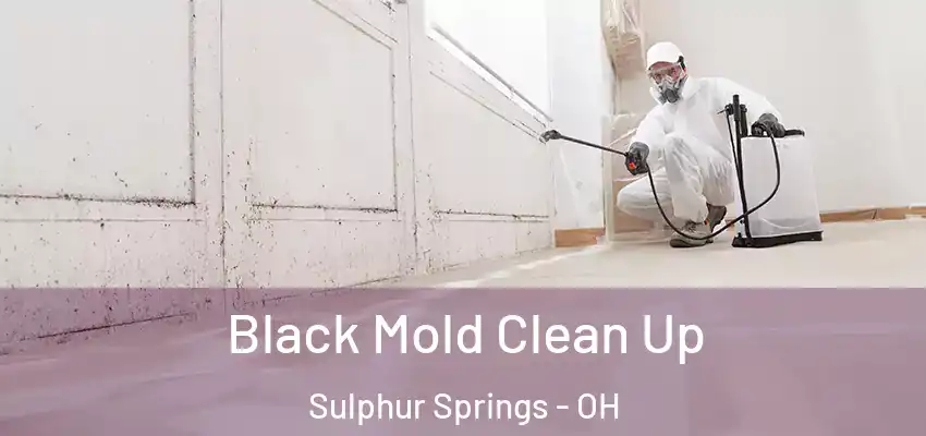  Black Mold Clean Up Sulphur Springs - OH